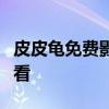 皮皮龟免费影院：独家精选电影，高清免费观看