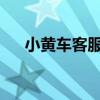 小黄车客服的专业解答与服务升级之路