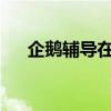 企鹅辅导在线课堂：电脑端学习新体验