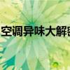 空调异味大解密：原因、解决方案与健康影响