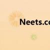 Neets.cc网站全面解析与体验分享