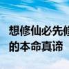 想修仙必先修炼本命元神：解析想不想修真中的本命真谛