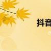 抖音电脑版在线使用指南