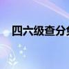四六级查分免准考证查询方法与技巧详解