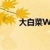 大白菜Win10 U盘启动盘制作教程