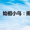 始祖小鸟：揭秘古老神秘物种的起源与演化