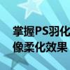 掌握PS羽化技巧：详细教程助你轻松实现图像柔化效果