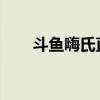 斗鱼嗨氏直播间：游戏界的闪耀新星