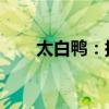 太白鸭：探寻神秘鸭种的故事与魅力