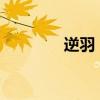 逆羽：逆转命运的羽毛传奇