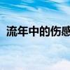 流年中的伤感印记：心语倾诉最深处的情感