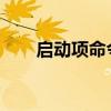 启动项命令详解：设置、管理与优化