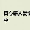 真心感人爱情短语，让爱流淌在温暖的言语之中