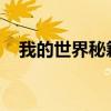 我的世界秘籍大全：终极指南与技巧集合