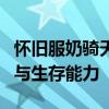 怀旧服奶骑天赋加点指南：优化你的角色战力与生存能力