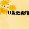 U盘低级格式化：深度解析与操作指南