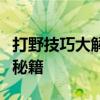 打野技巧大解析：提高你游戏水平的核心战术秘籍
