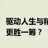 驱动人生与精灵：究竟哪个驱动程序管理软件更胜一筹？