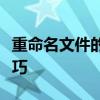 重命名文件的快捷操作指南：提升效率必备技巧