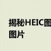 揭秘HEIC图片查看器：高效查看与管理你的图片