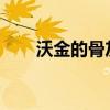 沃金的骨灰瓮的神秘用途与背后故事
