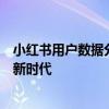小红书用户数据分析大揭秘：洞悉用户行为，引领社交电商新时代