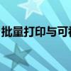 批量打印与可视化分析：BatchPlot实战指南