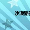 沙漠骆驼之歌：无尽之旅的旋律