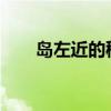 岛左近的秘密：探索未知的海岛奇遇