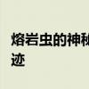 熔岩虫的神秘世界：探索地下熔岩中的生命奇迹