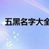 五黑名字大全：为你揭秘各种炫酷黑系命名