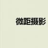 微距摄影：探索微观世界的魔法镜头
