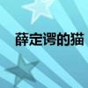 薛定谔的猫：揭示量子力学的神秘与争议