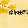 摩尔庄园河童的神奇作用与用途解析