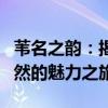 苇名之韵：揭开古老生态的面纱，探索隐秘自然的魅力之旅