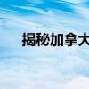 揭秘加拿大电鳗：神秘生物的背后故事