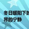 冬日暖阳下的唯美时光：描绘太阳的温暖与世界的宁静