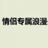 情侣专属浪漫头像精选，打造甜蜜爱情瞬间！