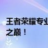 王者荣耀专业代练平台，助力您快速登顶王者之巅！