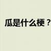 瓜是什么梗？全面解析网络热词背后的故事