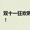 双十一狂欢购，惊喜促销盛宴，尽享购物乐趣！