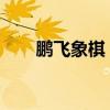 鹏飞象棋：掌握策略，开启智慧之旅