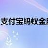 支付宝蚂蚁金服：重塑金融科技新生态的力量