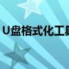 U盘格式化工具大全：功能、使用与选择指南