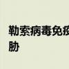 勒索病毒免疫工具：保护您的数字资产免受威胁