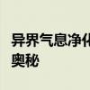 异界气息净化全书：探索神秘力量，掌握净化奥秘