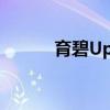 育碧Uplay无法登录的解决方案