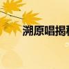 溯原唱揭秘：歌曲背后的故事与深意
