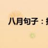 八月句子：描绘夏季的绚烂与情感的交融