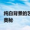 纯白背景的艺术之美：探索纯白照片的魅力与奥秘